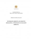 INFORMAÇÃO AMBIENTAL EM WEBSITES BRASILEIROS