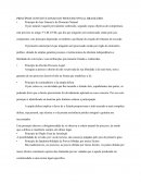 PRINCÍPIOS CONSTITUCIONAIS DO PROCESSO PENAL BRASILEIRO