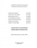 COMPORTAMENTO ORGANIZACIONAL ORIENTADORA MARCIA DE OLIVEIRA TORRES