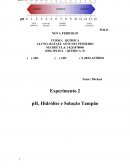 Relatório 2 - ph, hidrólise e solução tampão