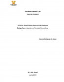 Relatório das atividades desenvolvidas durante o Estágio Supervisionado em Farmácia Comunitária