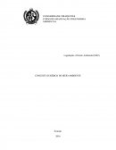 Legislação e Direito Ambiental (N02) CONCEITO JURÍDICO DE MEIO AMBIENTE