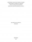 TECNOLOGIA E INDUSTRIALIZAÇÃO DE LÁCTEOS II RELATÓRIO DE AULA PRÁTICA: REQUEIJÃO