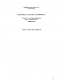 O Caderno de Exercícios Economia Empresarial