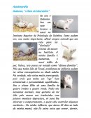 Autobiografia Ludovico, “o Rato do laboratório”