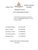 ATPS Organização e Metodologia do Ensino Fundamental