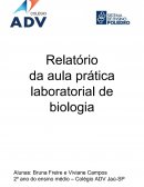 Relatório de Biologia - Fungos