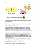 BIOLOGIA CELULAR - ESTUDO DIRIGIDO