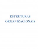 Estruturas Organizacionais