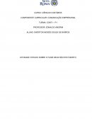 Contabilidade Introdutória - Livro de Exercícios (RESPONDIDOS)