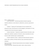 Relatório Etapa III Direção e Controle da Ação Empresarial