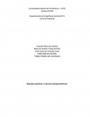 Relatório Reações químicas e cálculos estequiométricos