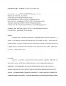 Artigo Pratica 5