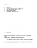 Na história da Administração algumas escolas, teorias, ideias, inovações nos trouxeram onde estamos.