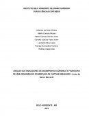 ANÁLISE DOS INDICADORES DE DESEMPENHO ECONÔMICO E FINANCEIRO DE UMA ORGANIZAÇÃO DO MERCADO DE CAPITAIS BRASILEIRO :o caso do Banco Mercantil