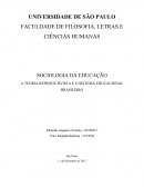 A TEORIA REPRODUTIVISTA E O SISTEMA EDUCACIONAL BRASILEIRO