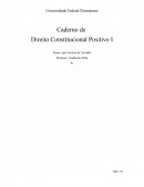 Caderno de Direito Constitucional Positivo I - Prof. Guilherme Peña