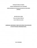 Projeto liderança servidora como estratégia para diminuir a rotativodade