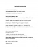 Neurofisiologia