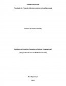 Relatório da Disciplina Pesquisas e Práticas Pedagógicas I (Perspectivas Acerco da Profissão Docente)