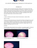 AULA PRÁTICA MICROSCOPIA E ORGANELAS CITOPLAMÁTICAS