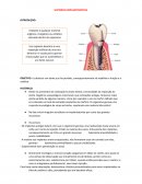 A Historia Implantodontia