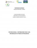 PROVINHA BRASIL: CONTRIBUIÇÕES PARA A (RE) ORGANIZAÇÃO DO TRABALHO PEDAGÓGICO BRASÍLIA/DF