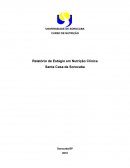 Relatório de Estágio em Nutrição Clínica Santa Casa de Sorocaba