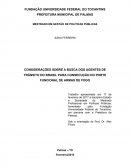 AS CONSIDERAÇÕES SOBRE A BUSCA DOS AGENTES DE TRÂNSITO DO BRASIL PARA CONSECUÇÃO DO PORTE FUNCIONAL DE ARMAS DE FOGO