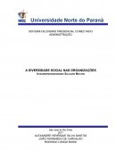 A DIVERSIDADE SOCIAL NAS ORGANIZAÇÕES