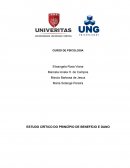 ESTUDO CRÍTICO DO PRINCÍPIO DE BENEFÍCIO E DANO