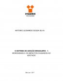 O SISTEMA DE ADOÇÃO BRASILEIRO: A MOROSIDADE E OS IMPACTOS CAUSADOS AO ADOTADO