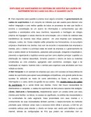 ESTUDO DE CASO: A IMPORTÂNCIA DOS FLUXOS DA CADEIA DE SUPRIMENTO