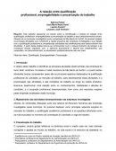 A Relação entre Qualificação Profissional, Empregabilidade e Precarização do Trabalho