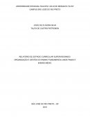 RELATÓRIO DE ESTÁGIO CURRICULAR SUPERVISIONADO: ORGANIZAÇÃO E GESTÃO DO ENSINO FUNDAMENTAL ANOS FINAIS E ENSINO MÉDIO