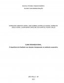 CLIMA ORGANIZACIONAL: A importância do feedback nas relações interpessoais no ambiente corporativo