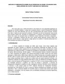 A ANÁLISE E COMPARAÇÃO SOBRE DUAS FERROVIAS DA RUMO UTILIZANDO DOIS SIMULADORES DE CUSTO TARIFÁRIO DE FERROVIAS