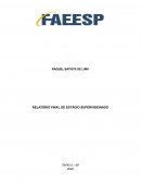 RELATÓRIO PARCIAL DE ESTÁGIO FAEESP