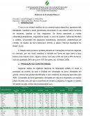 Relatório de Economia Mineral