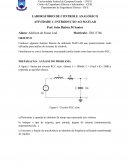 Relatório do Laboratório de Controle Analógico