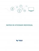 Atividade Individual FGV - projetos