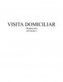 A Visita Domiciliar