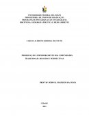 O Empoderamento Das Comunidades Tradicionais: Desafios E Perspectivas