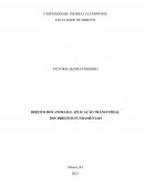 O Direito Dos Animais E Aplicação Transversal Dos Direitos Fundamentais