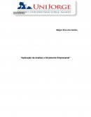 Aplicação de Análise e Orçamento Empresarial