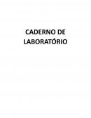 O Caderno De Laboratório