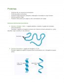 A Bioquímica Proteínas