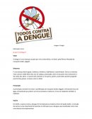 O Combate a Dengue