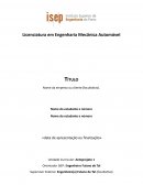 A Licenciatura em Engenharia Mecânica Automóvel A Licenciatura em Engenharia Mecânica Automóvel