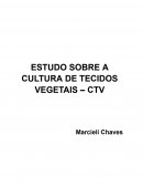 Fundamentos da Cultura de Tecidos Vegetais e Terminologias